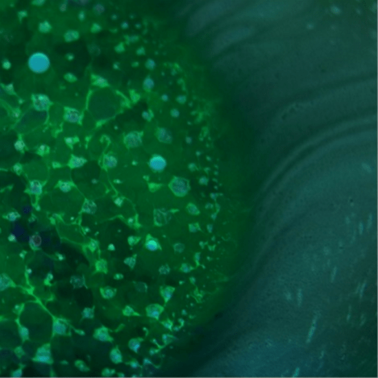 radiohead-spectre-640x640