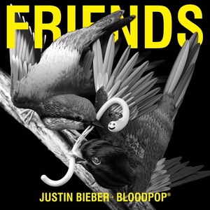 Justin_Bieber_and_BloodPop_Friends